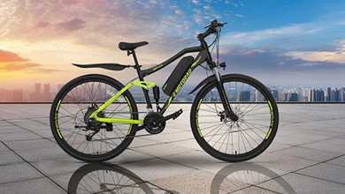 EMotorad EMX Plus