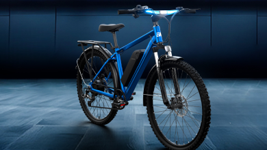 EMotorad T-Rex Pro 29